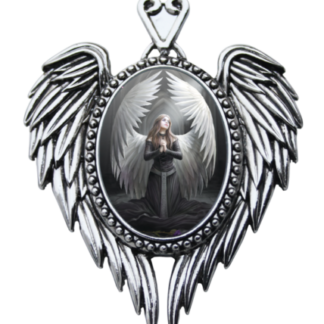 The central image is set within silver wings with a heart shaped casing at the top