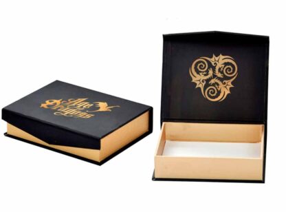 The presentation box is black with gold sides and age of dragons printed in gold on the top